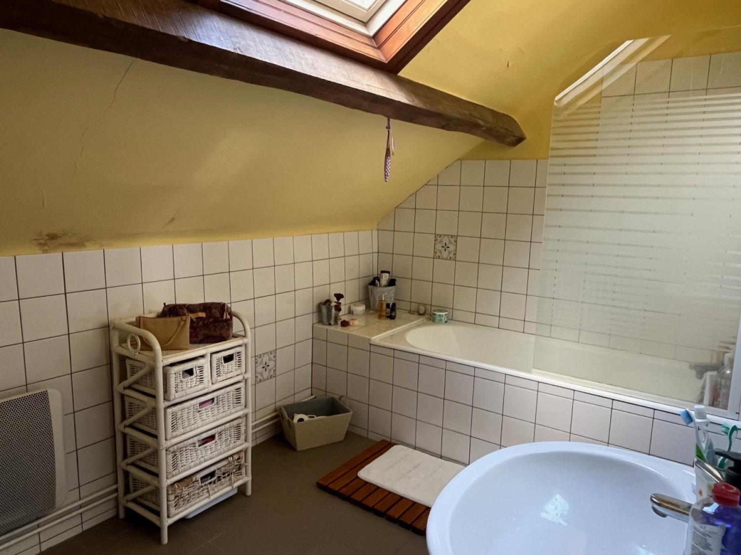 kaufen Freistehend La Porcherie Haute-Vienne 22