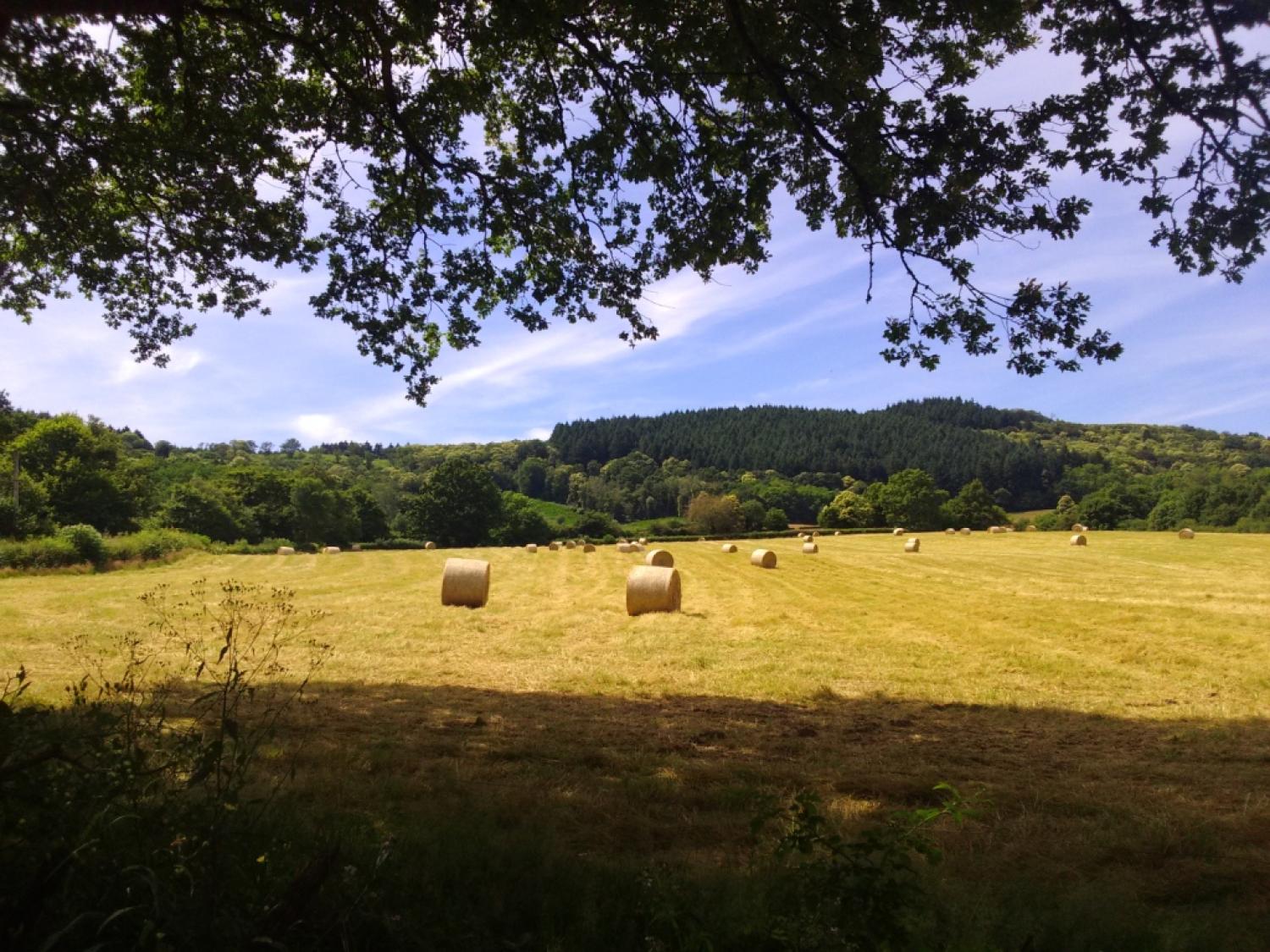  kaufen Häuser mit Zuhause Thil-sur-Arroux Saône-et-Loire 30