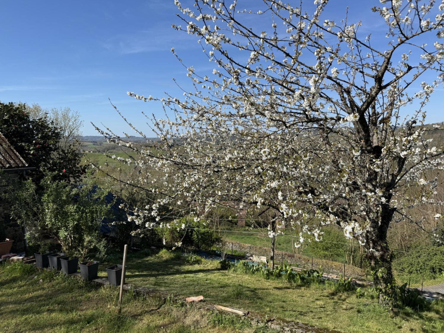 kaufen Freistehend Vignols Corrèze 19