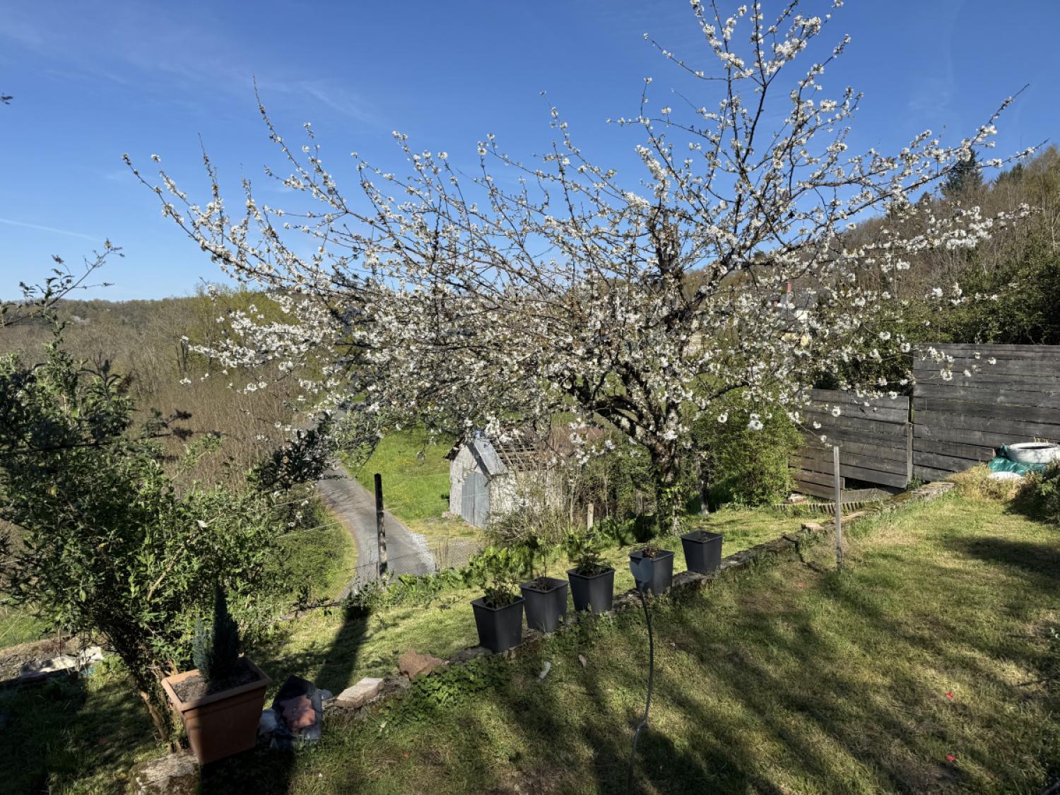 kaufen Freistehend Vignols Corrèze 20