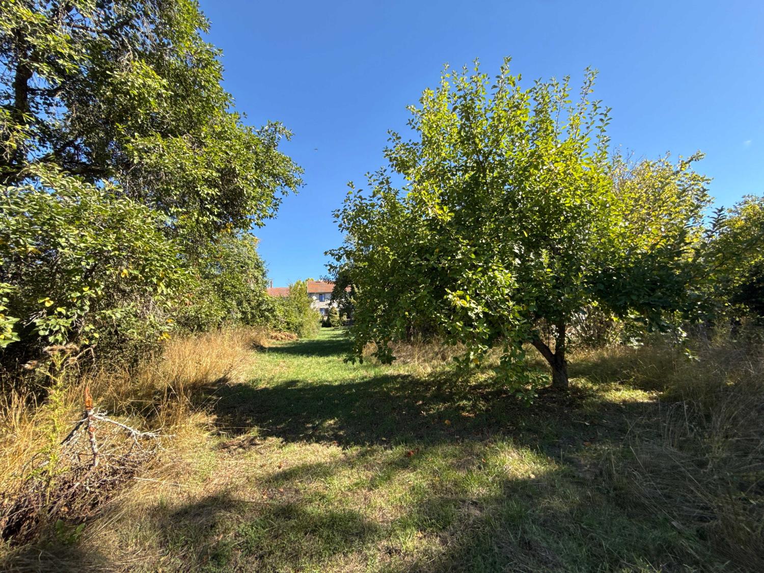  kaufen Dorfbauernhof Corre Haute-Saône 30