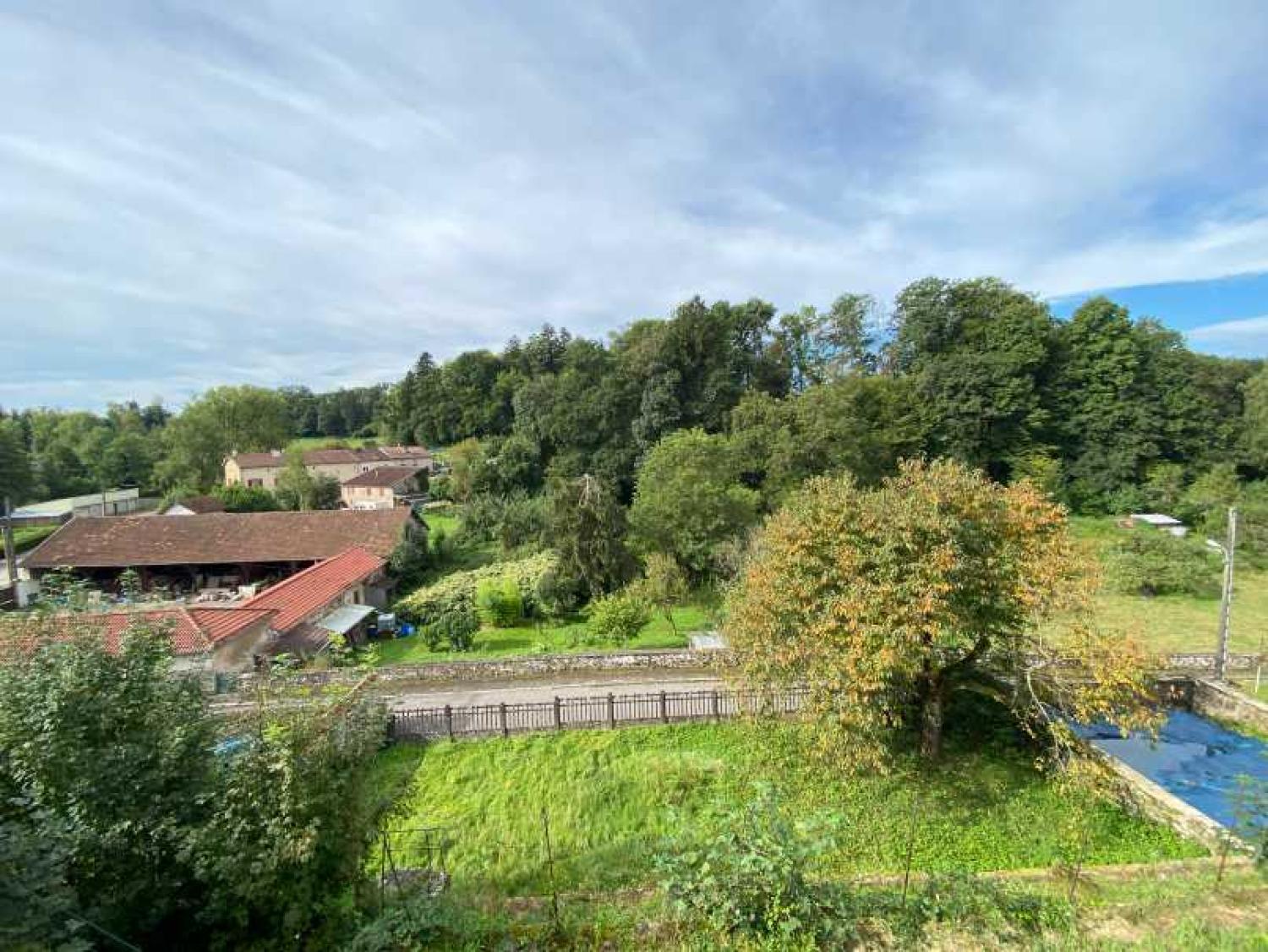  kaufen Bürgerhaus Châtillon-sur-Saône Vogesen 36