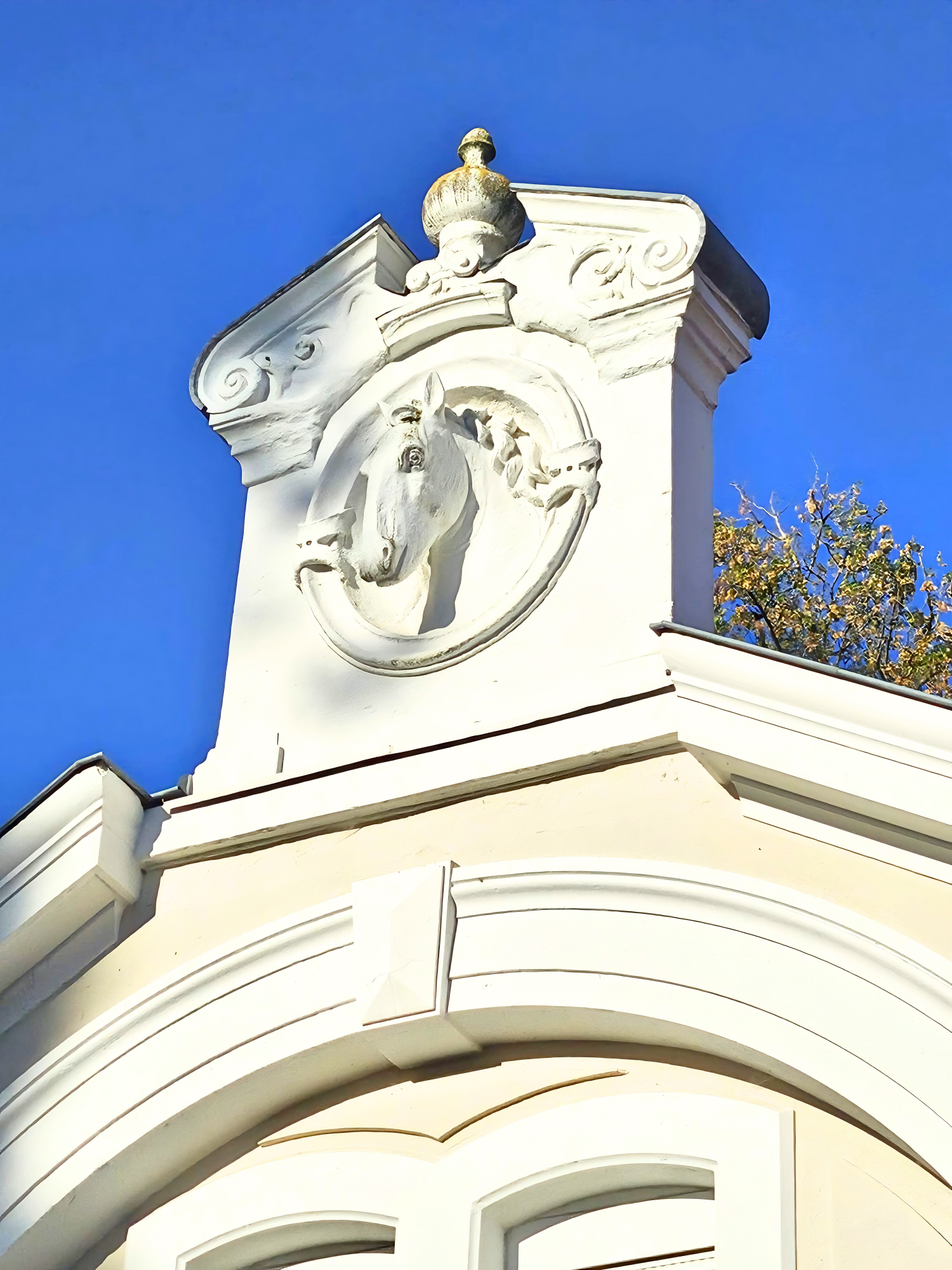 kaufen Haus Sorbiers Loire 5