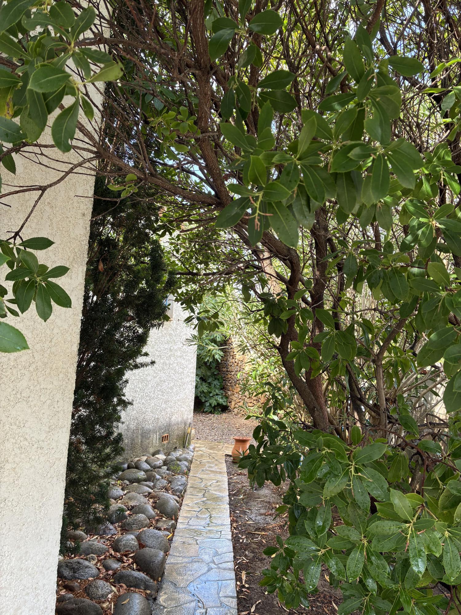 kaufen Dorfhaus Narbonne Aude 13