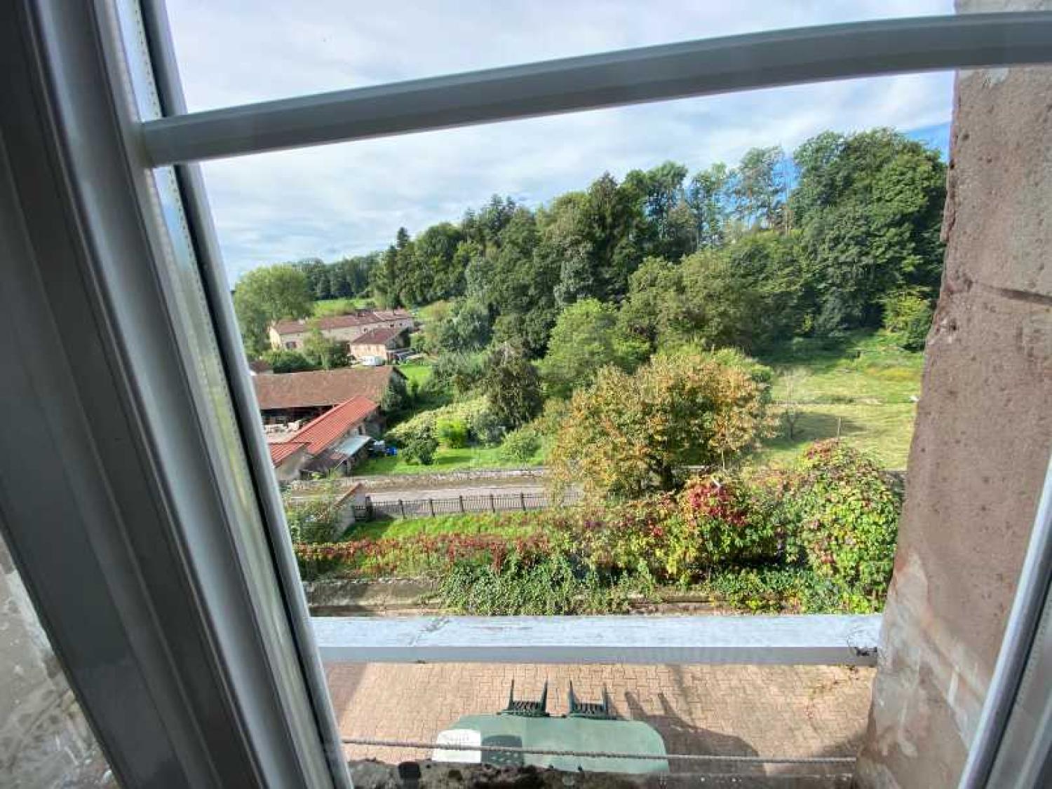  kaufen Bürgerhaus Châtillon-sur-Saône Vogesen 23