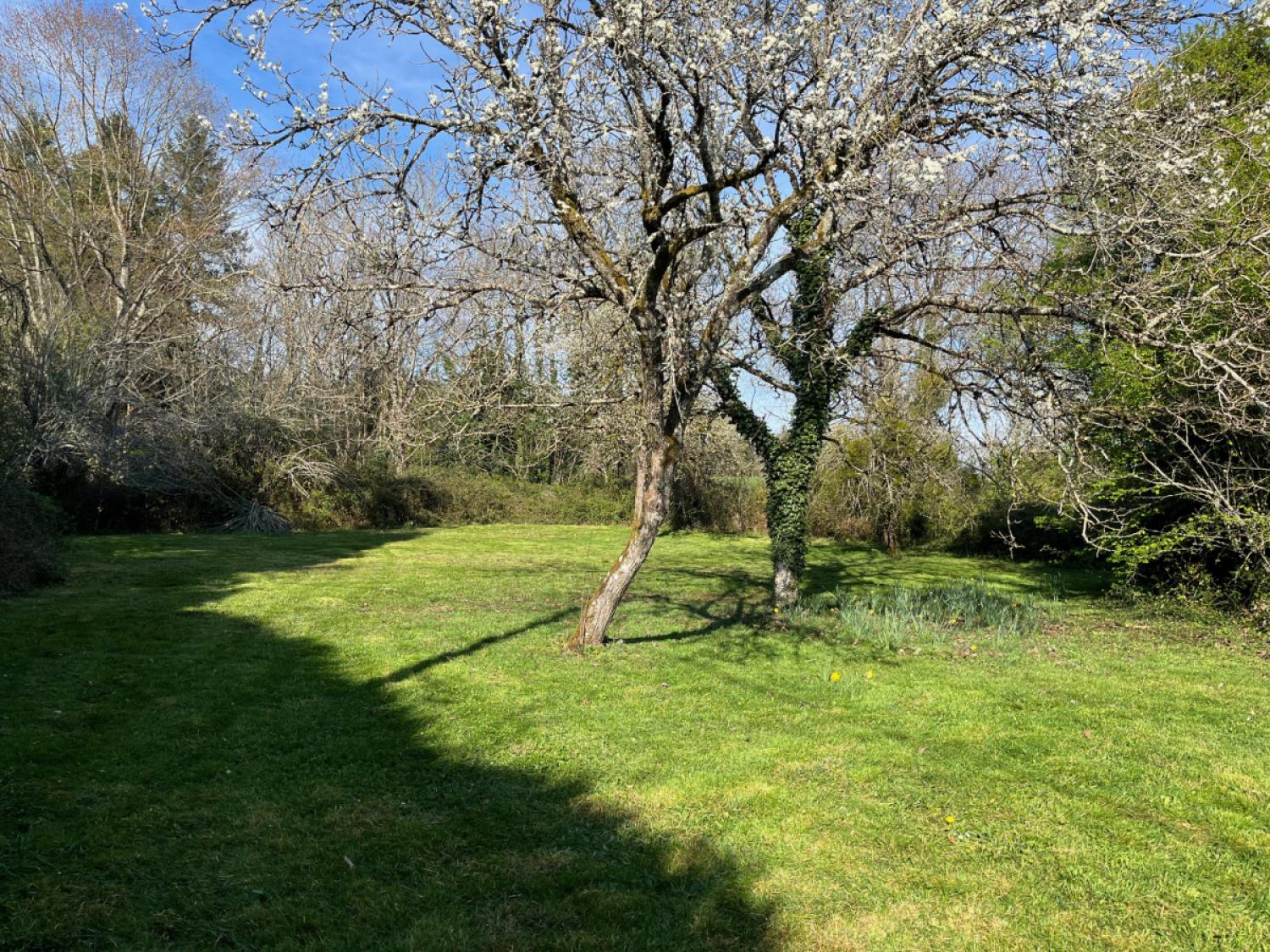 kaufen Freistehend Jumilhac-le-Grand Dordogne 3