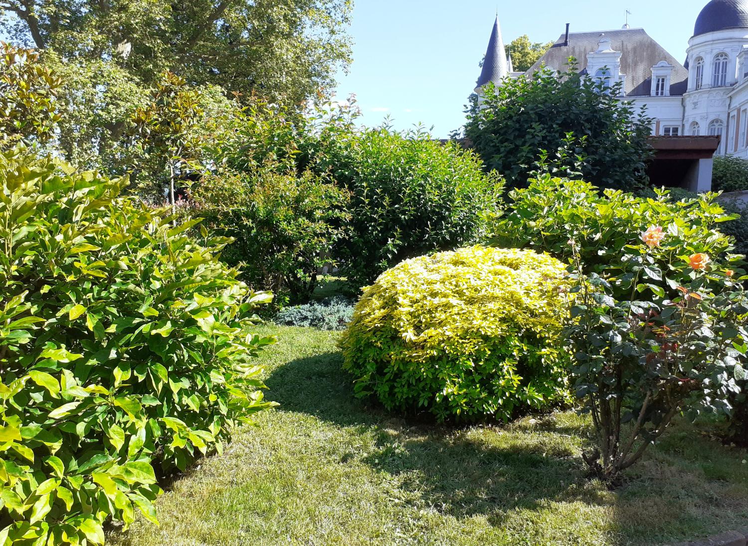 kaufen Haus Sorbiers Loire 6