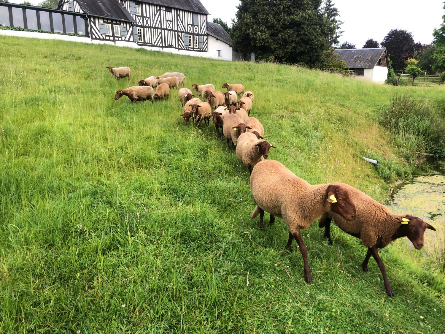  kaufen Haus Livarot Calvados 23