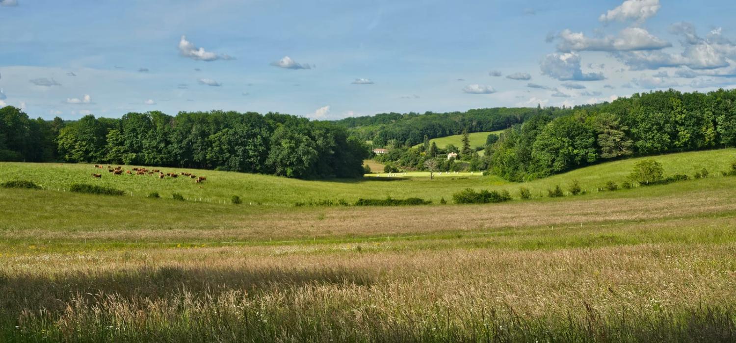  kaufen Haus Rougnac Charente 3